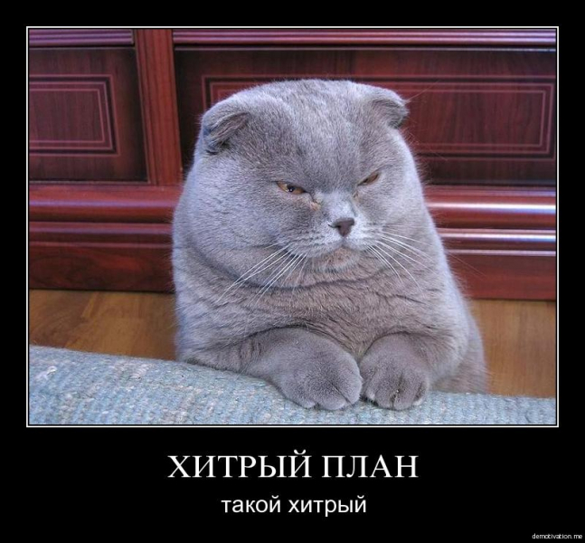 Котэ