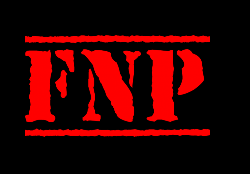 FNP 3