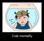 Crab mentality