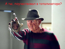 freddy