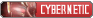 cyber