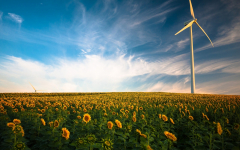 wind_turbine_sunflower_field_4k-1920x1200