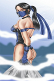 Kitana MK vs DC by predatorhunter79