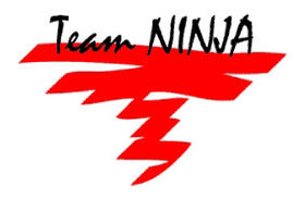 Логотип Team Ninja